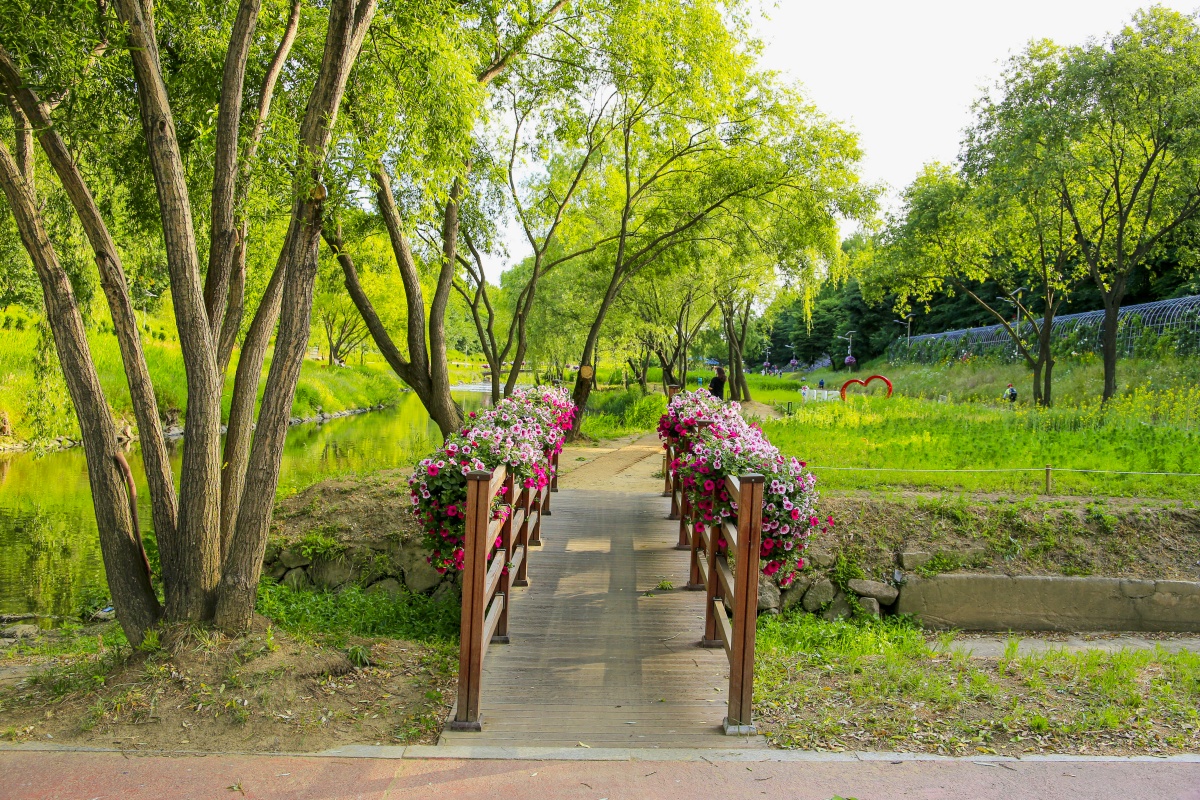 양재천