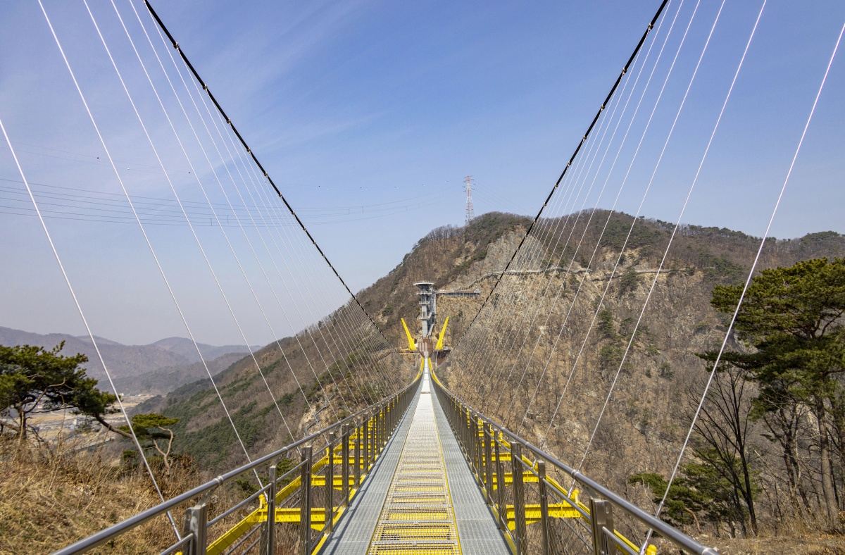 출렁다리