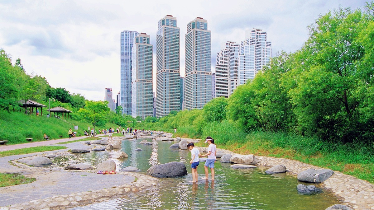 양재천