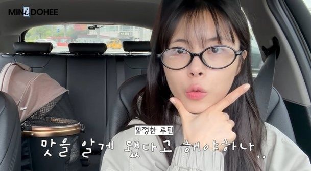 引用:YouTubeチャンネル「ミニドヒ」