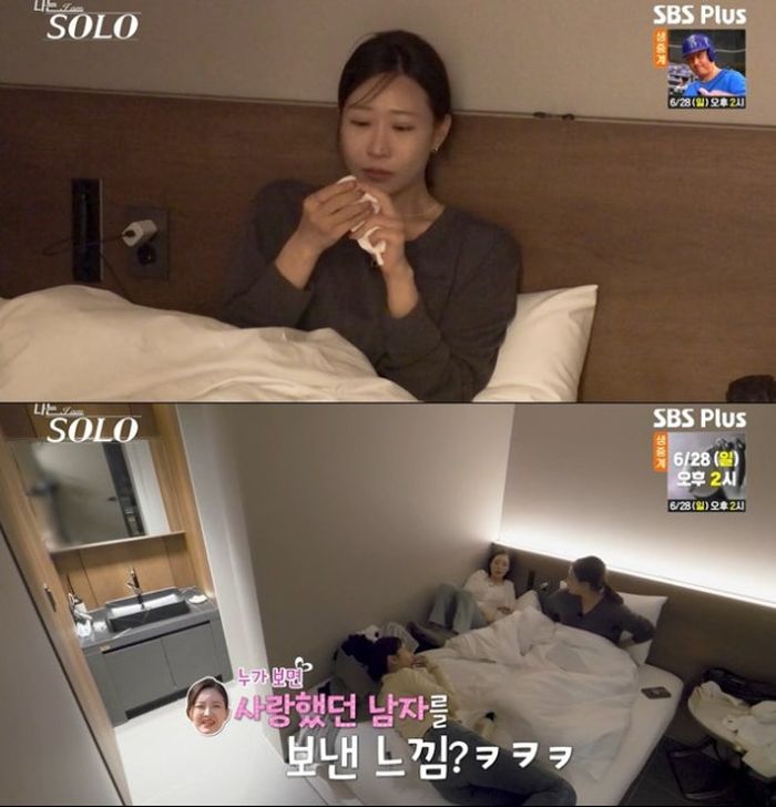 애니멀플래닛