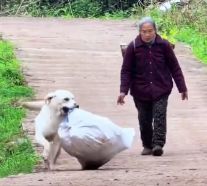 애니멀플래닛