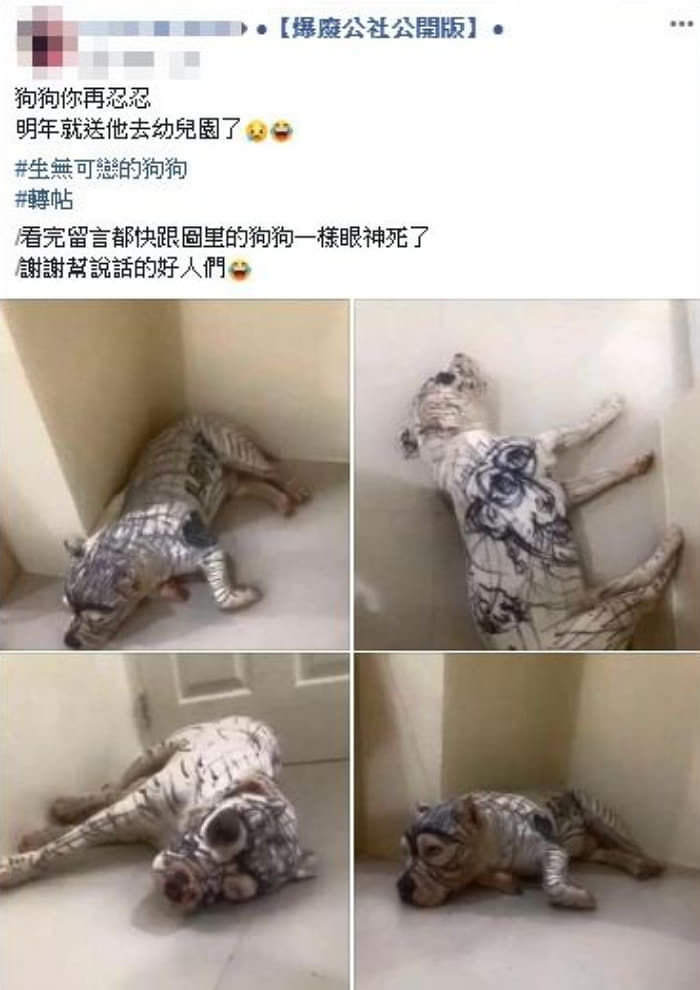 애니멀플래닛