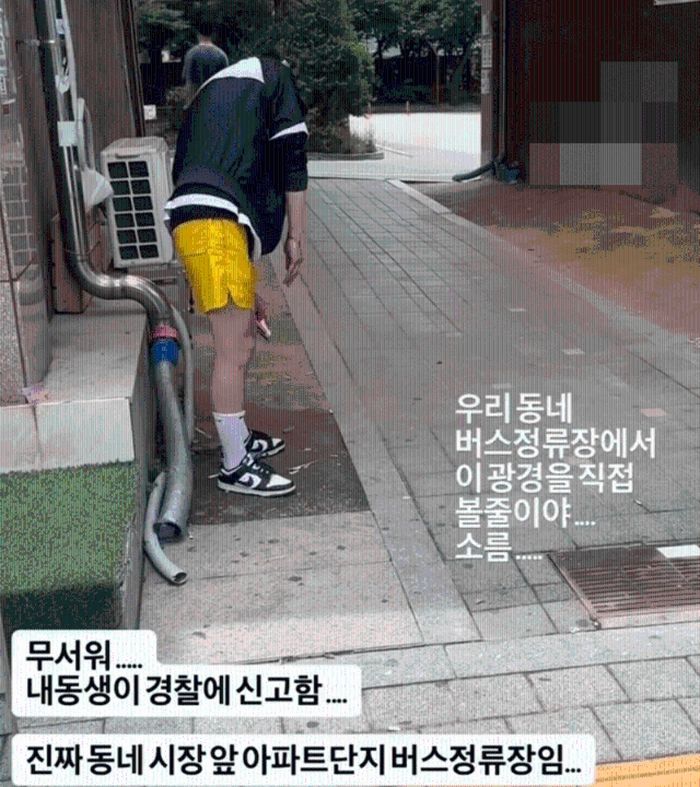 애니멀플래닛