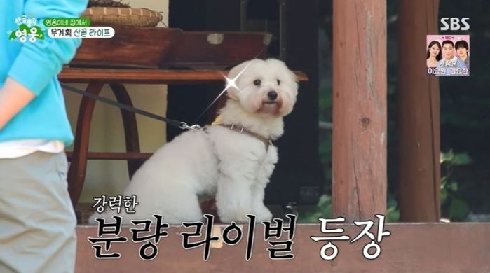 애니멀플래닛