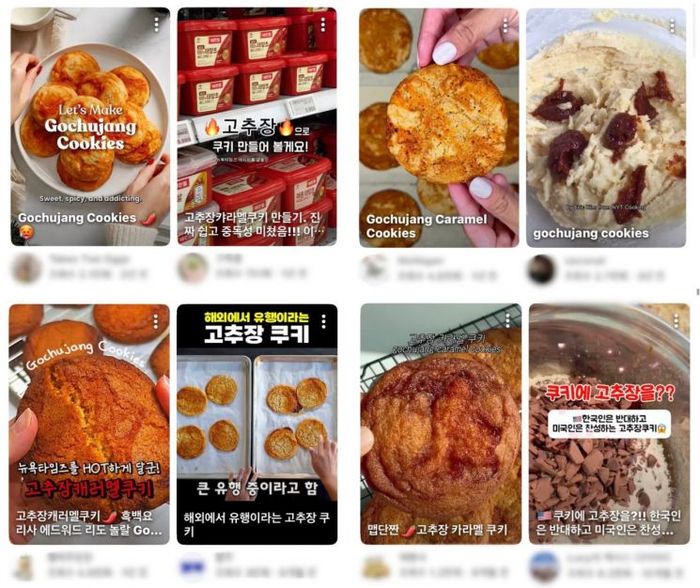 애니멀플래닛