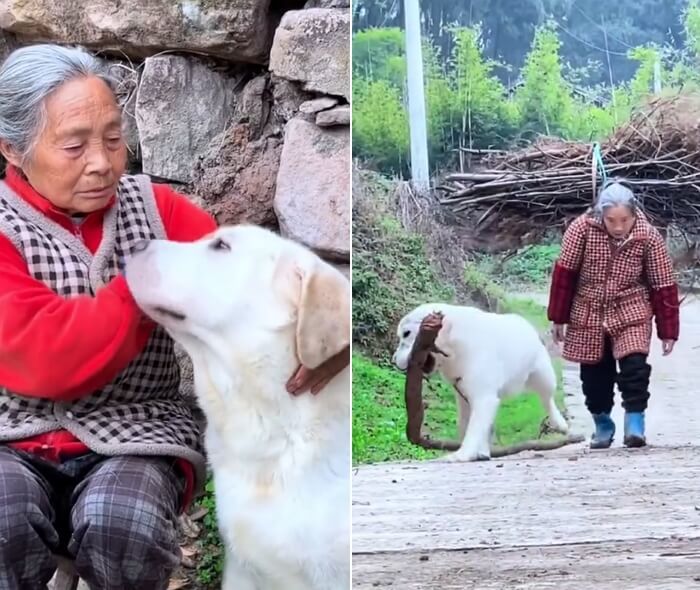 애니멀플래닛