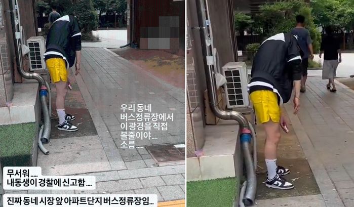 애니멀플래닛