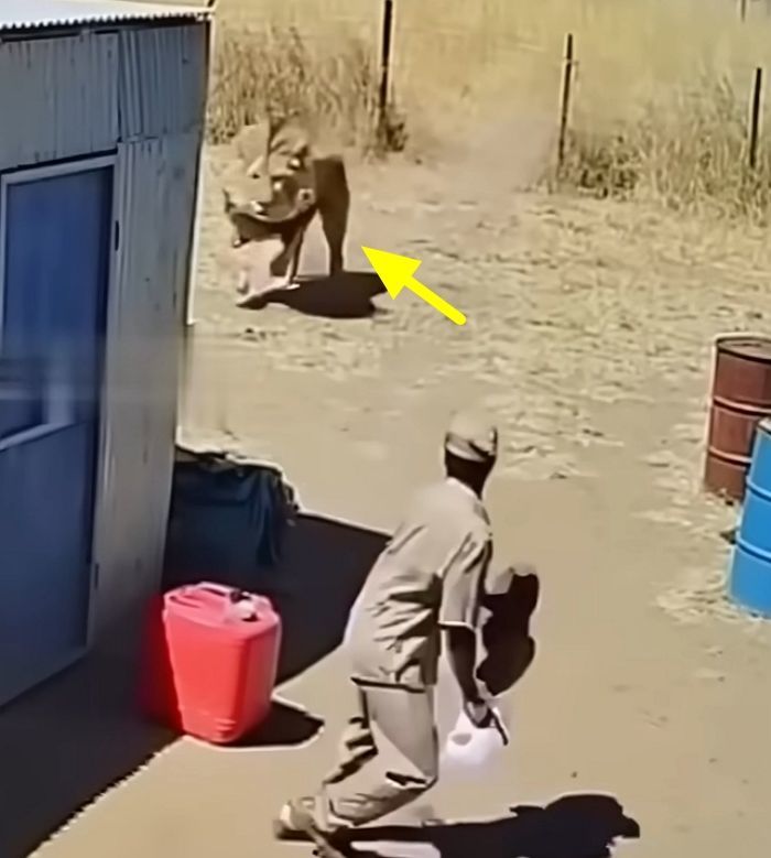 애니멀플래닛
