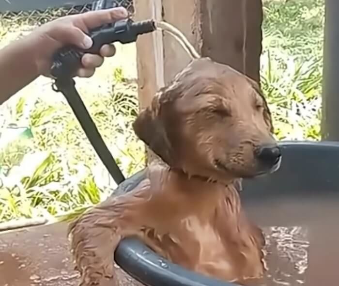 애니멀플래닛