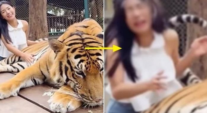 애니멀플래닛