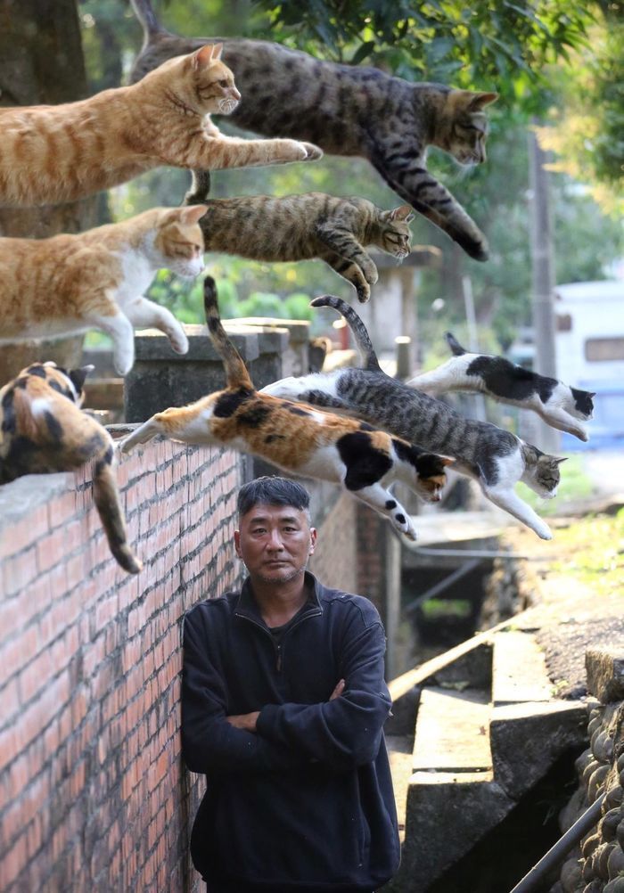 애니멀플래닛