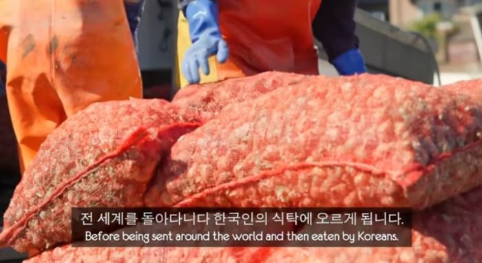 애니멀플래닛