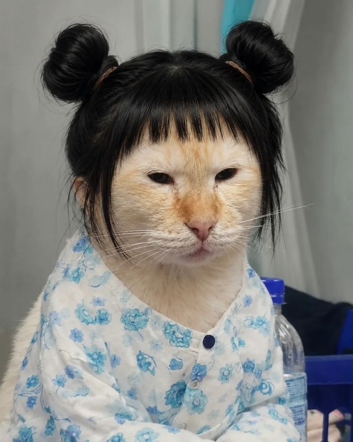 애니멀플래닛