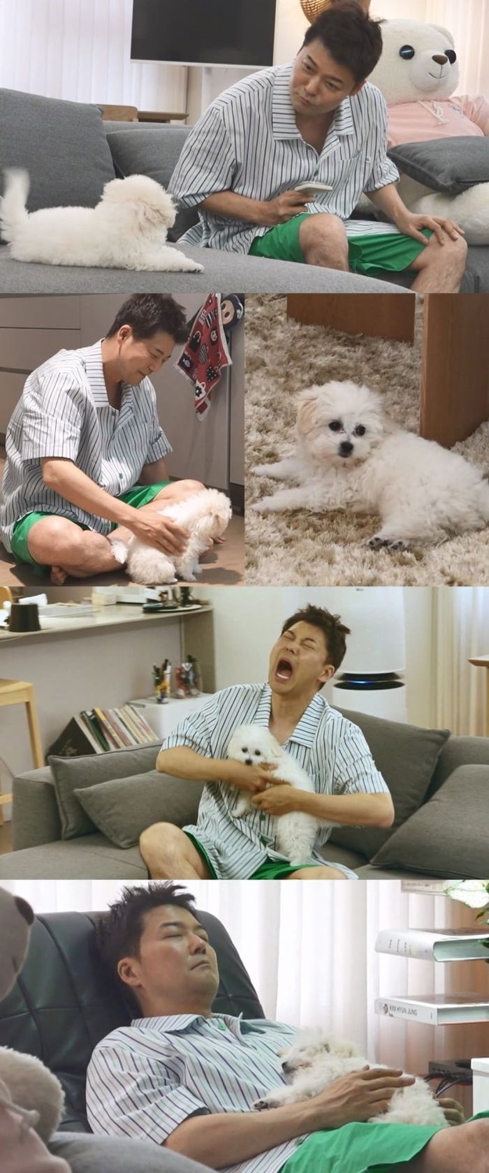 애니멀플래닛