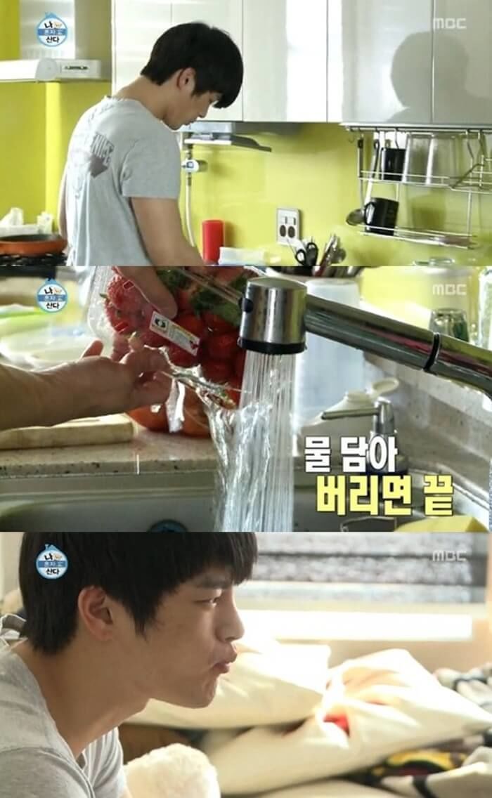애니멀플래닛