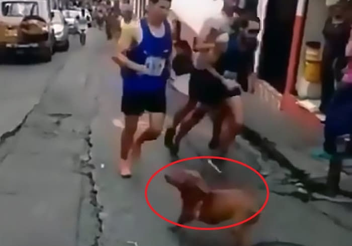 애니멀플래닛