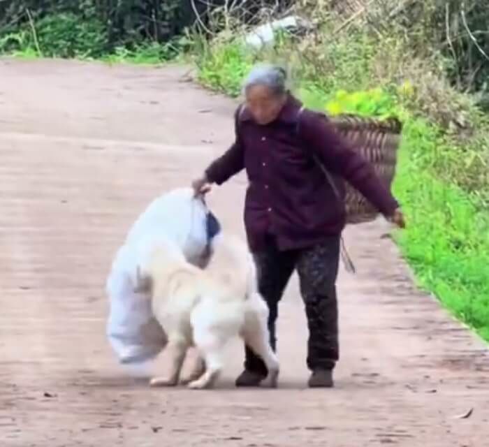 애니멀플래닛
