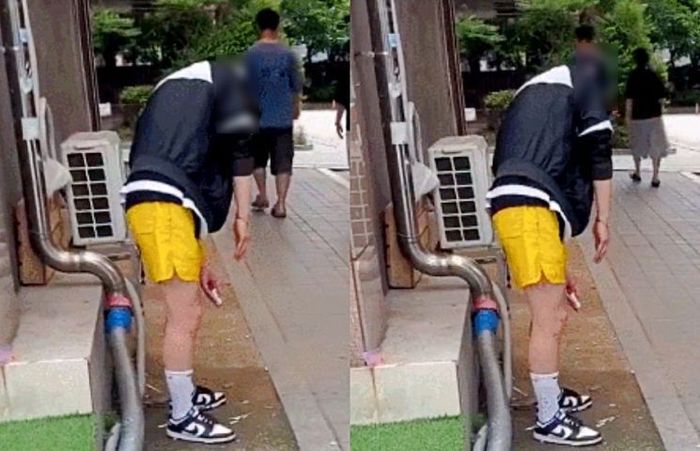 애니멀플래닛