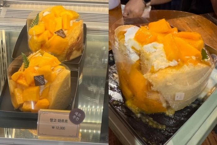 애니멀플래닛