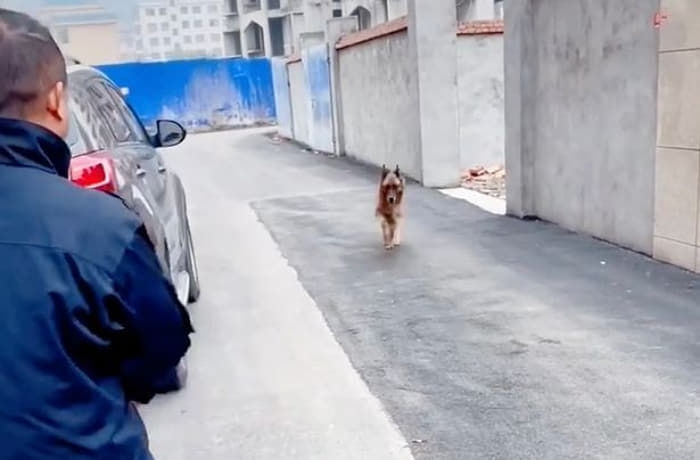 애니멀플래닛