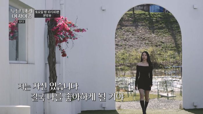 애니멀플래닛
