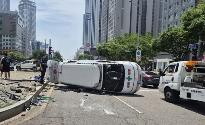 애니멀플래닛