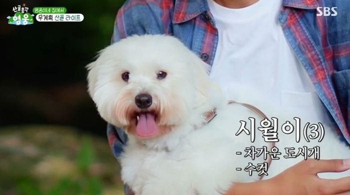 애니멀플래닛