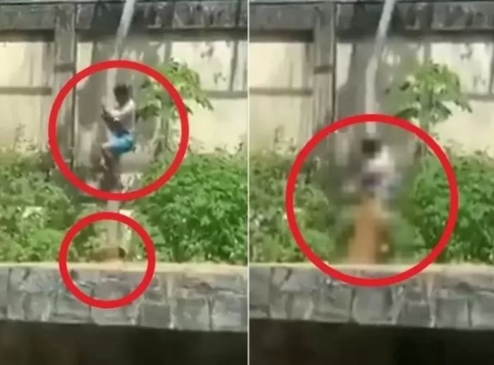 애니멀플래닛