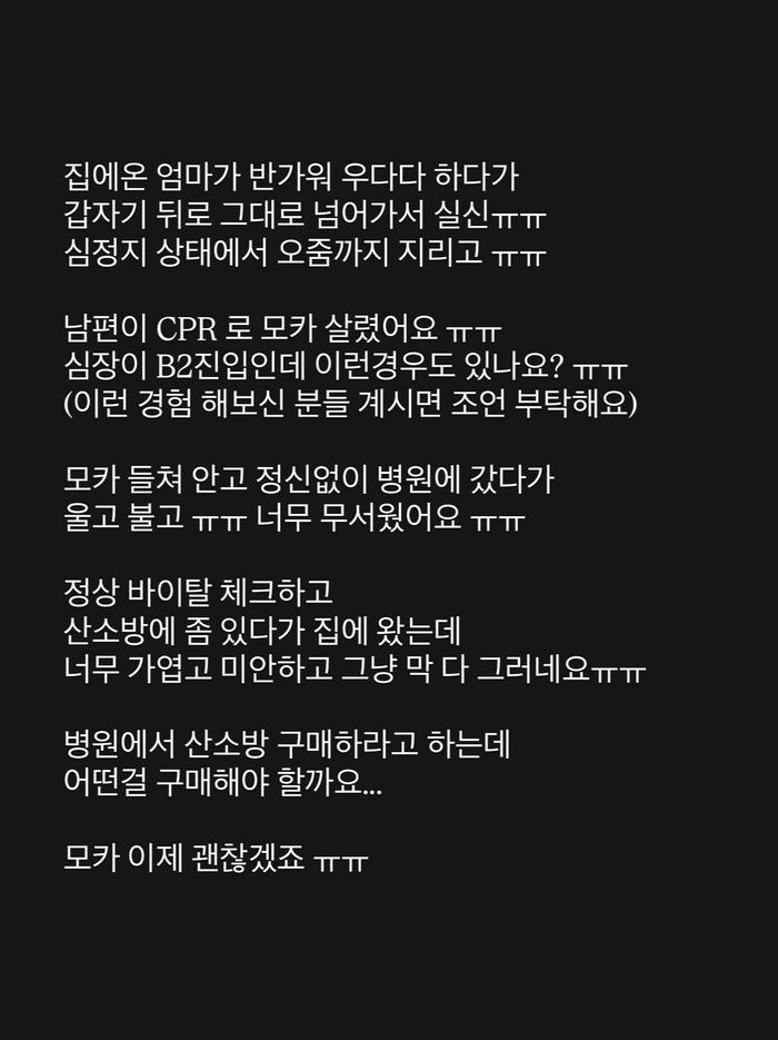 애니멀플래닛