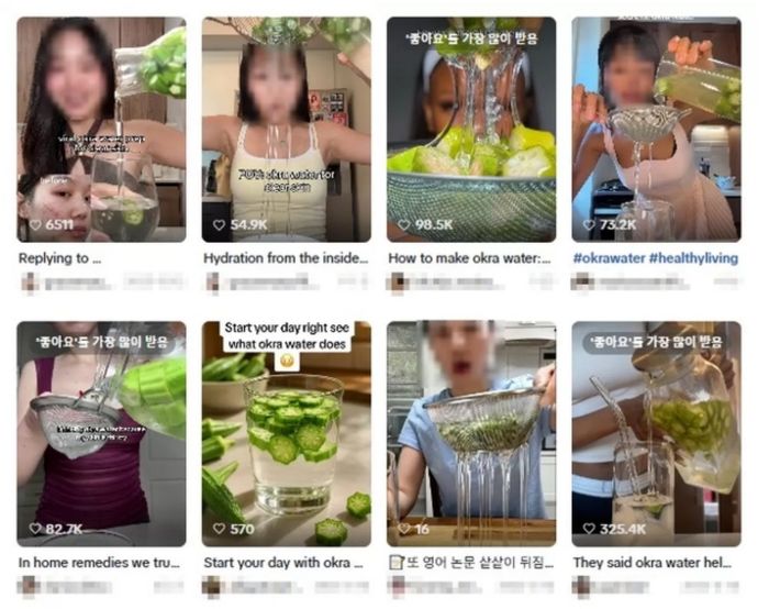애니멀플래닛