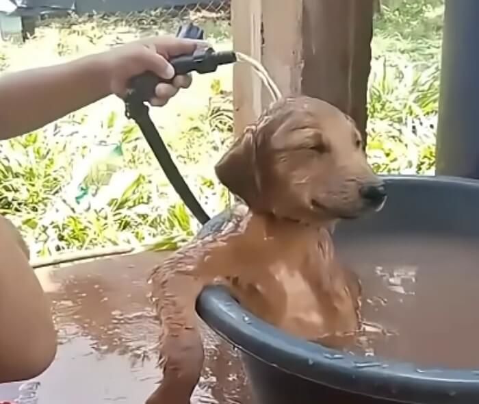애니멀플래닛