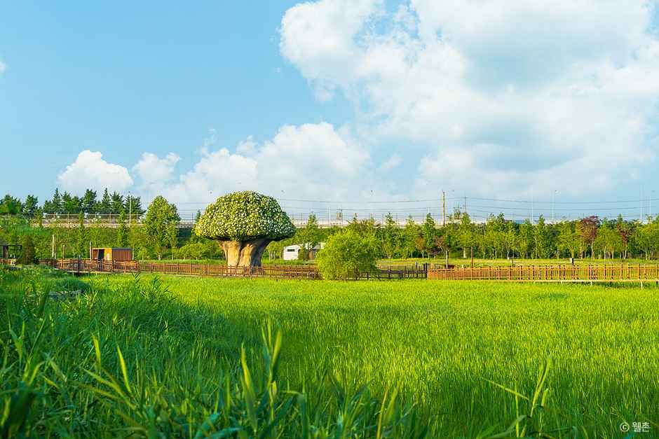 파주 장단콩마을 / 사진=한국관광콘텐츠랩