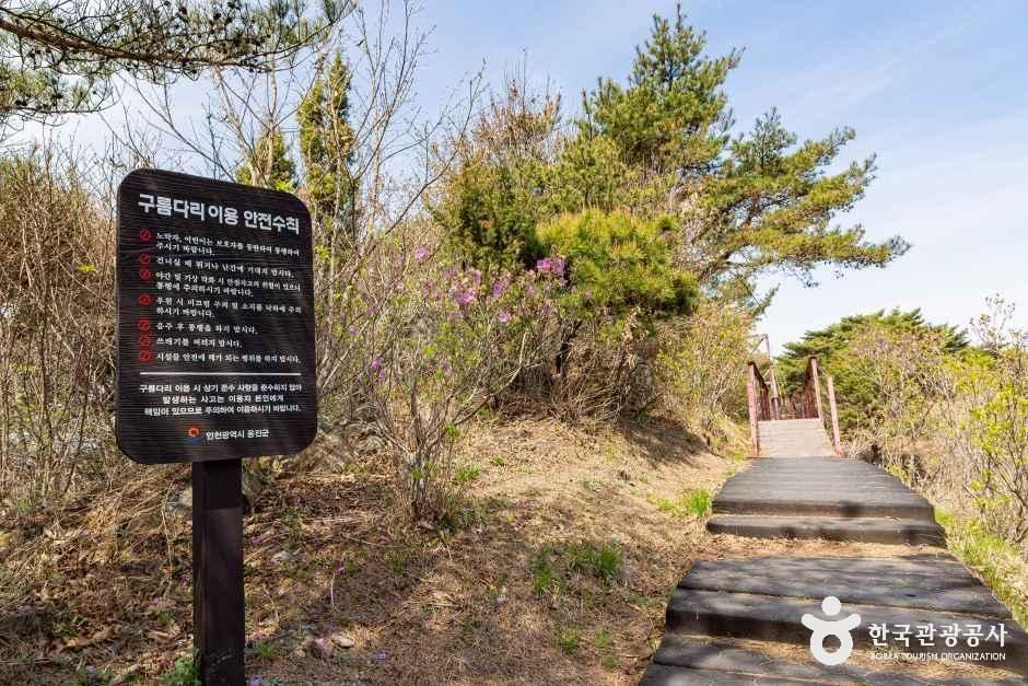 부아산 구름다리 / 사진=한국관광콘텐츠랩