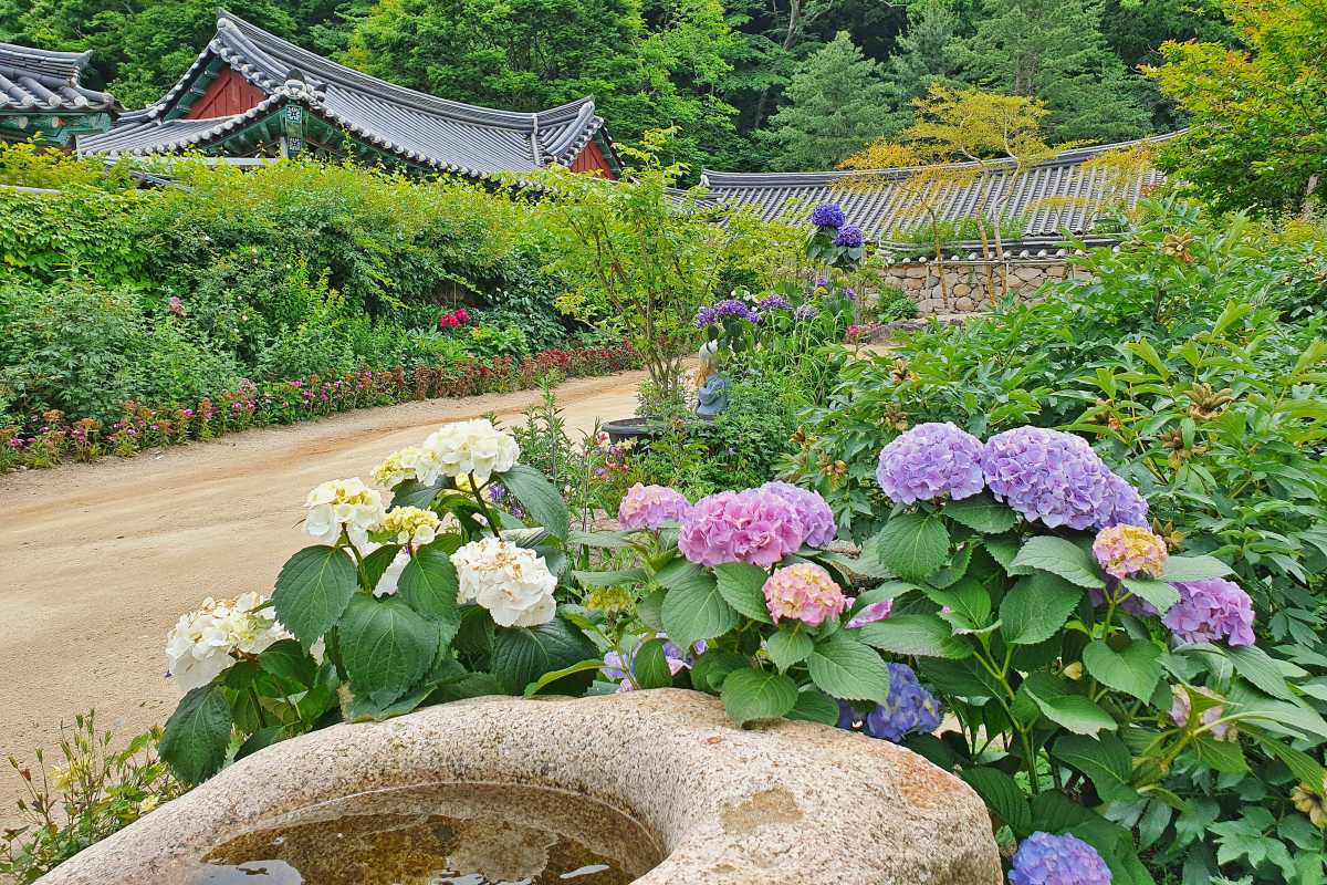 경주 6월 풍경 / 사진=경주문화관광