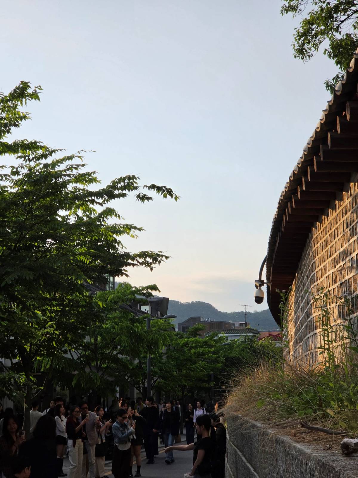 시청역 돌담길 / 직접촬영