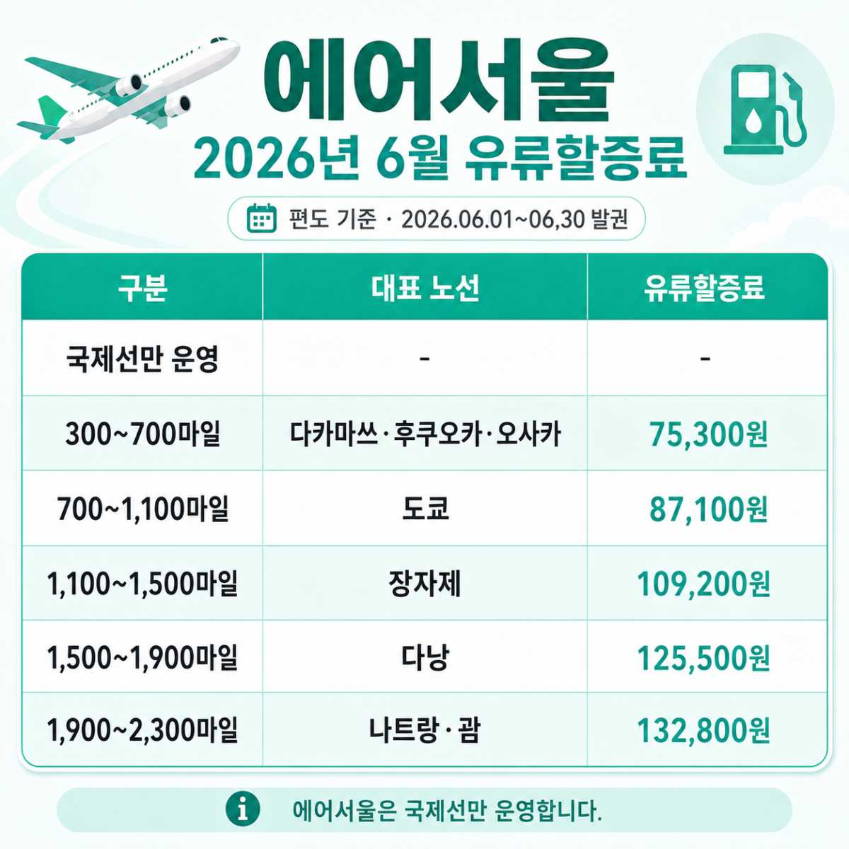 에어서울 / ⓒ인포매틱스뷰