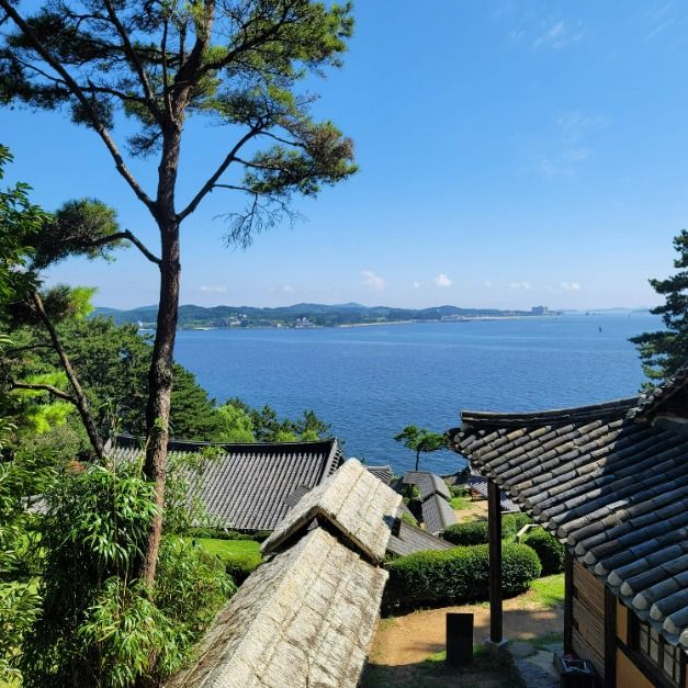 관람 방법 / 사진=한국관광콘텐츠랩