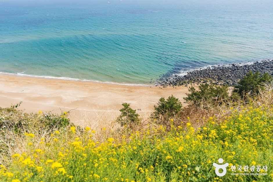 올레길과 이어지는 경로 / 사진=한국관광콘텐츠랩