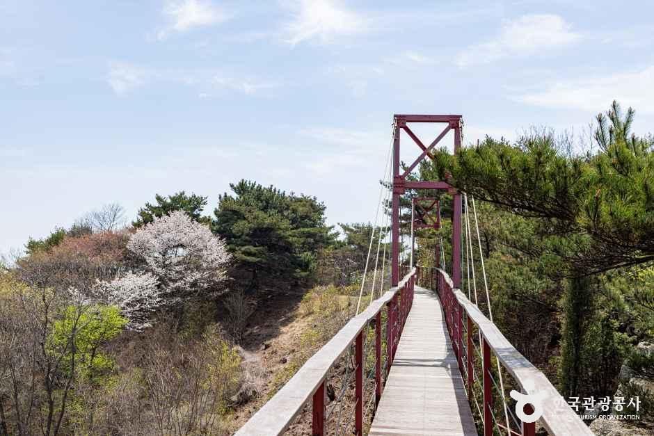 대이작도 배편 / 사진=한국관광콘텐츠랩