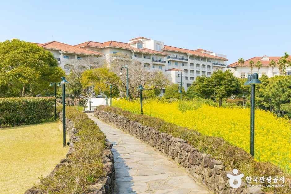 쉬리의 언덕 / 사진=한국관광콘텐츠랩