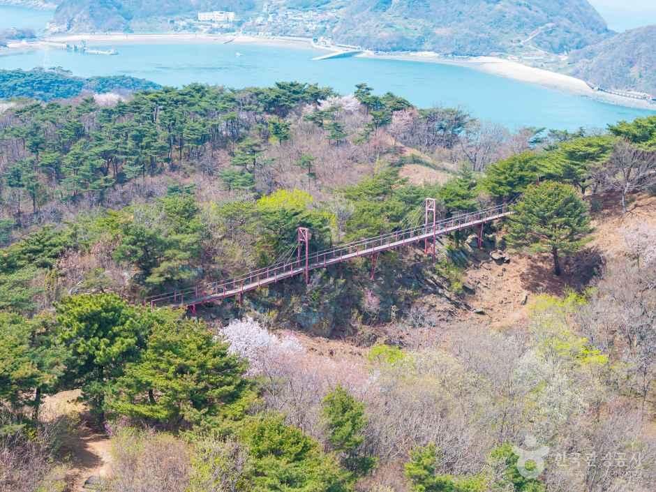 구름다리 명소 / 사진=한국관광콘텐츠랩
