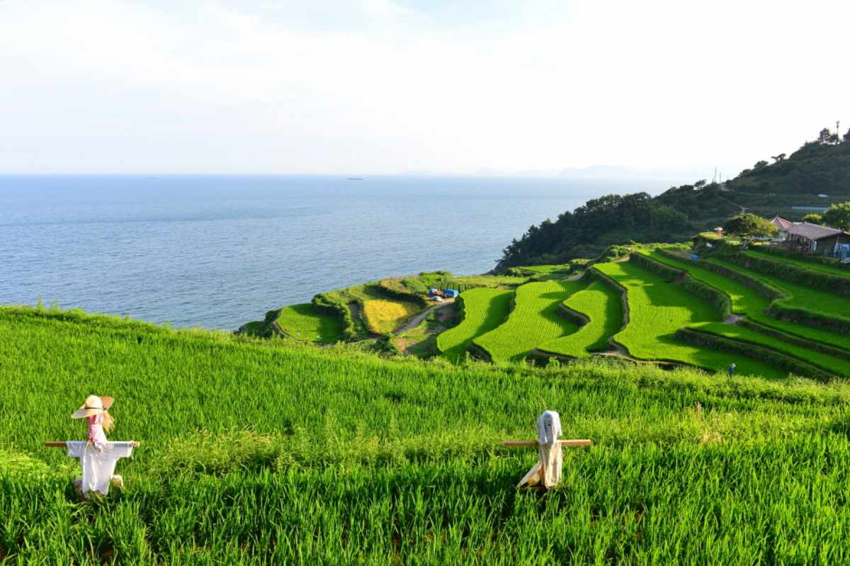 가천 다랭이마을 / 사진=한국관광콘텐츠랩