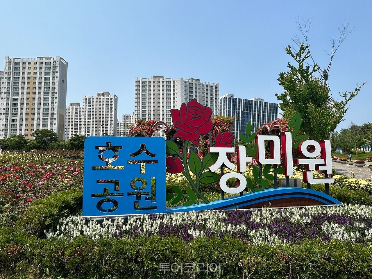 호수공원 장미원 전경 / 사진-김포시