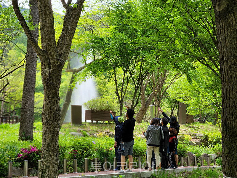 경기 가평 국립유명산자연휴양림 자생식물원 숲해설 / 사진-산림청 국립자연휴양림관리소