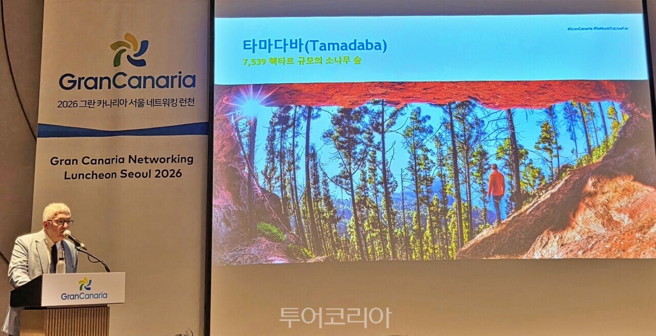 사진-투어코리아