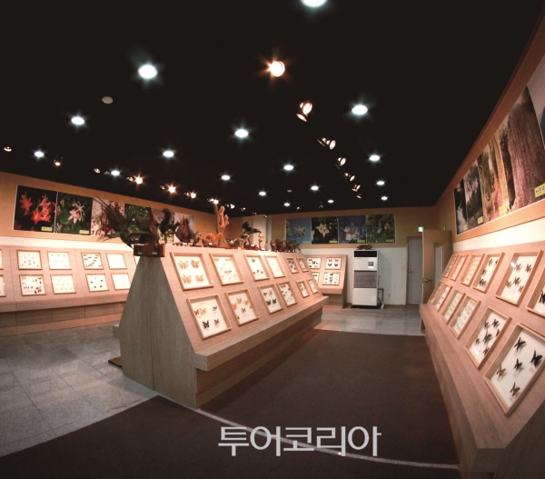 회문산 /사잔-국립자연휴양림관리소