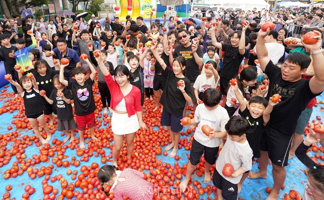 광주 퇴촌토마토거리축제 / 사진-광주시