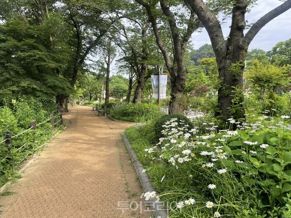 초록길정원/사진=서울시