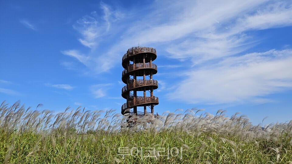 시흥갯골생태공원/ ⓒ투어코리아